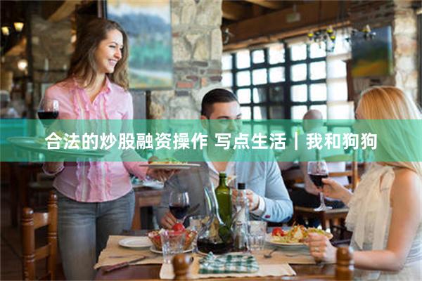 合法的炒股融资操作 写点生活｜我和狗狗