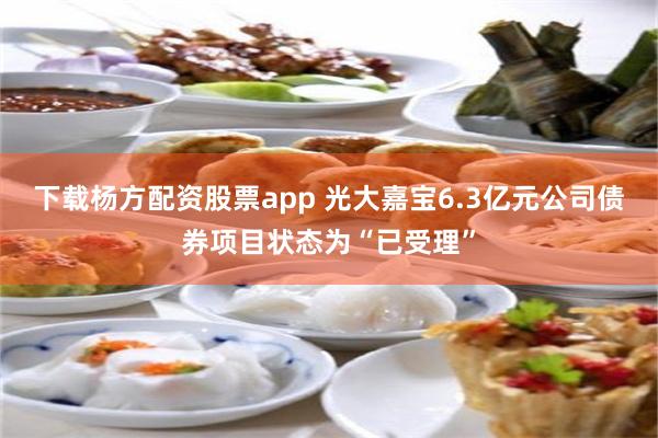 下载杨方配资股票app 光大嘉宝6.3亿元公司债券项目状态为“已受理”
