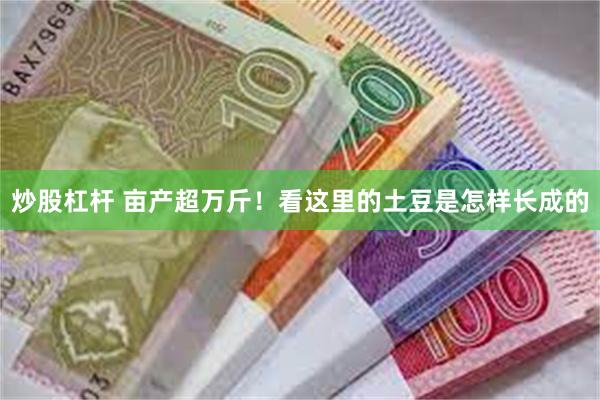 炒股杠杆 亩产超万斤！看这里的土豆是怎样长成的