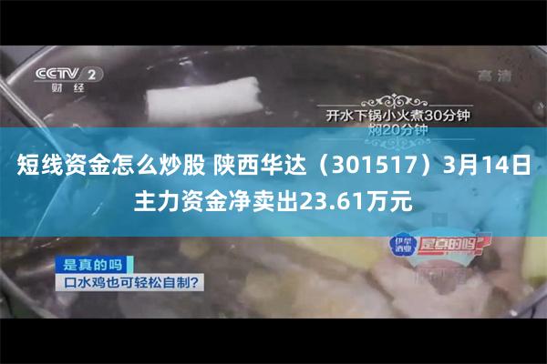短线资金怎么炒股 陕西华达（301517）3月14日主力资金净卖出23.61万元
