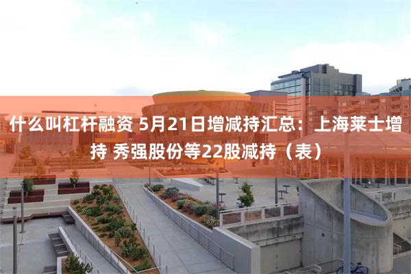 什么叫杠杆融资 5月21日增减持汇总：上海莱士增持 秀强股份等22股减持（表）