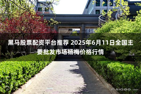 黑马股票配资平台推荐 2025年6月11日全国主要批发市场杨梅价格行情