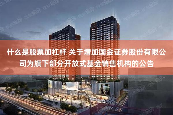 什么是股票加杠杆 关于增加国金证券股份有限公司为旗下部分开放式基金销售机构的公告