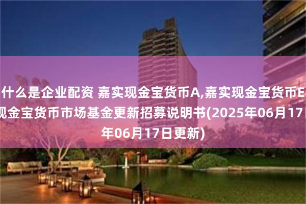 什么是企业配资 嘉实现金宝货币A,嘉实现金宝货币E: 嘉实现金宝货币市场基金更新招募说明书(2025年06月17日更新)
